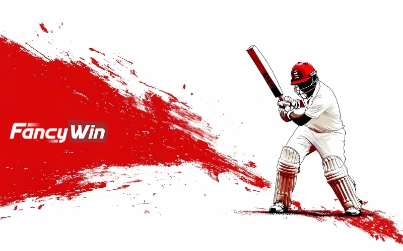about-fancywin